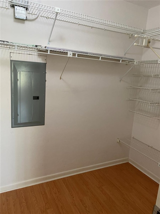 walk in closet featuring electric panel and wood finished floors