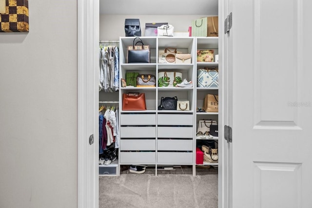 view of closet