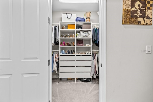 walk in closet featuring carpet floors