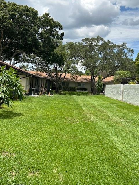 1567 Patton Dr, Dunedin, FL 34698 - photo 14