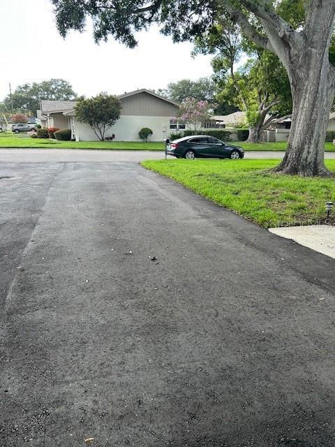 1567 Patton Dr, Dunedin, FL 34698 - photo 4