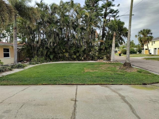 view of yard
