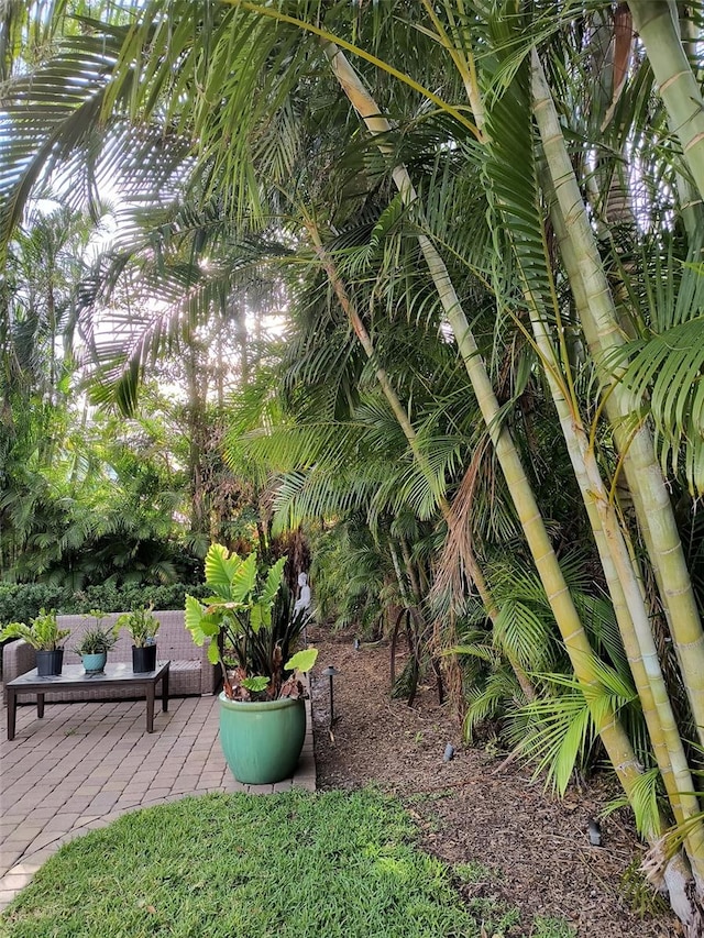 view of yard with a patio area