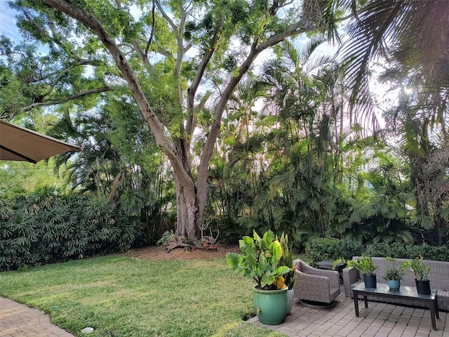 view of yard featuring a patio