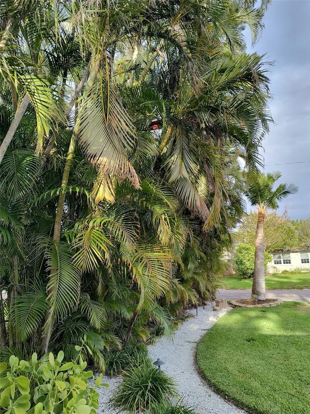 view of property's community featuring a lawn