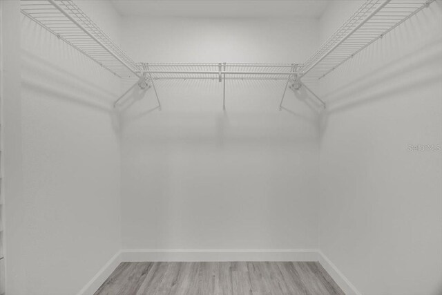 2415 Sutton Rd, Lakeland, FL 33810 - walk in closet featuring light wood-style floors