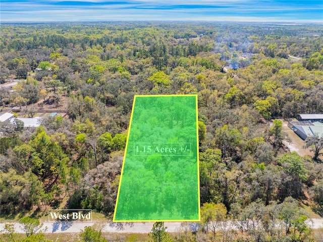 33468 W Blvd, Webster, FL 33597