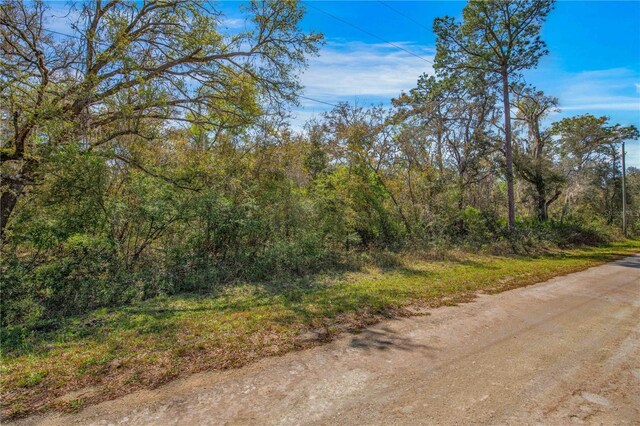 33468 W Blvd, Webster, FL 33597
