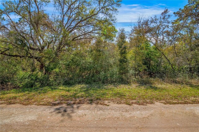 33468 W Blvd, Webster, FL 33597
