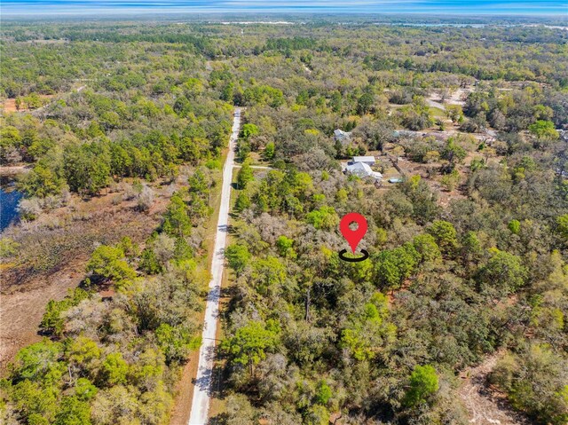 33468 W Blvd, Webster, FL 33597