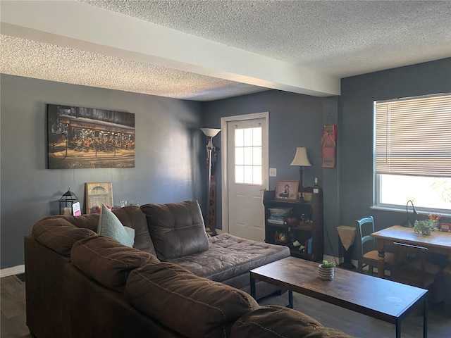 living area with baseboards, a textured ceiling, a healthy amount of sunlight, and wood finished floors