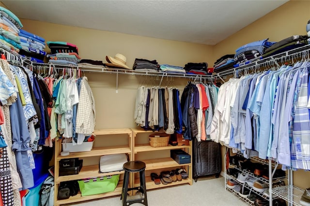 walk in closet with carpet flooring