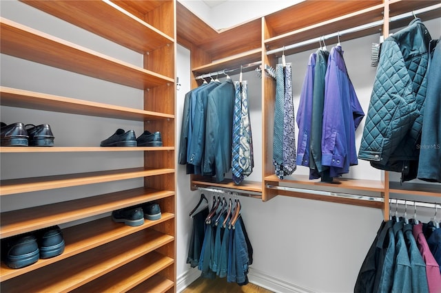 view of spacious closet