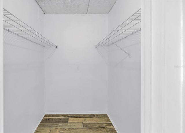 walk in closet with wood finished floors