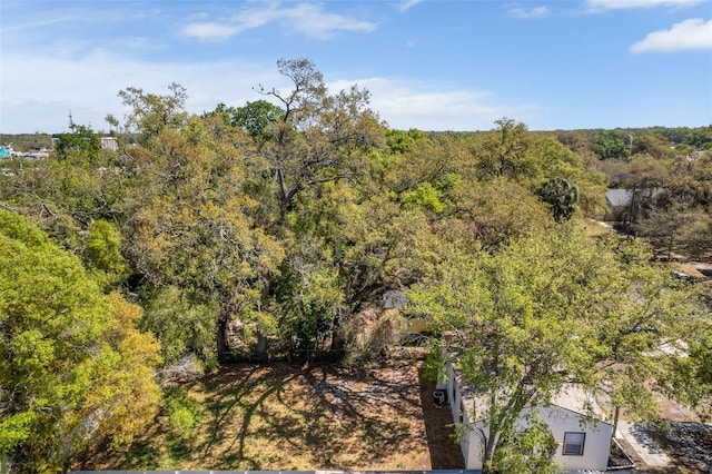 304 E Hanlon St, Tampa, FL 33604 - view of wooded area