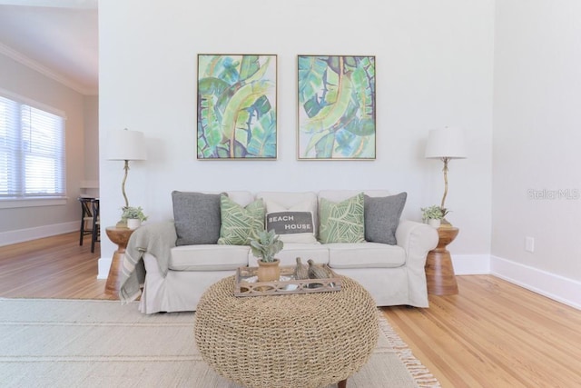 living area featuring crown molding, wood finished floors, and baseboards