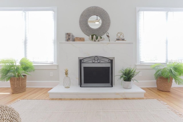 details featuring baseboards, wood finished floors, and a fireplace