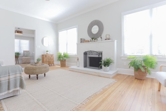 bedroom featuring baseboards, a fireplace with raised hearth, wood finished floors, and ornamental molding