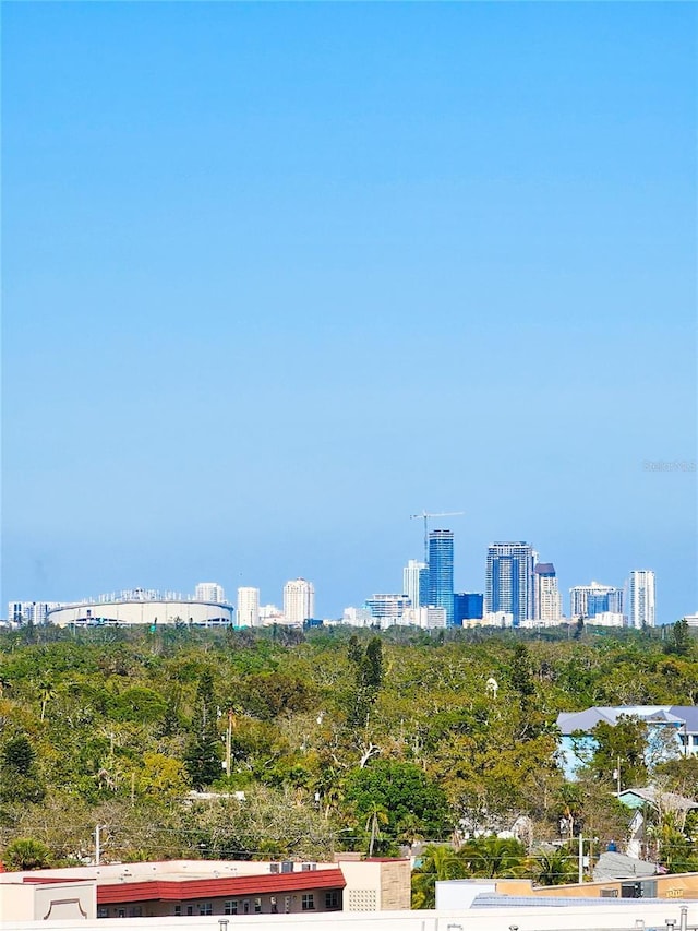 property's view of city