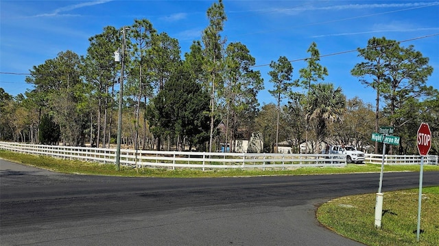 10379 Thrasher Ave, Weeki Wachee, FL 34614 - photo 4