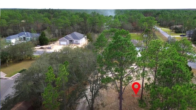 10379 Thrasher Ave, Weeki Wachee, FL 34614 - photo 5