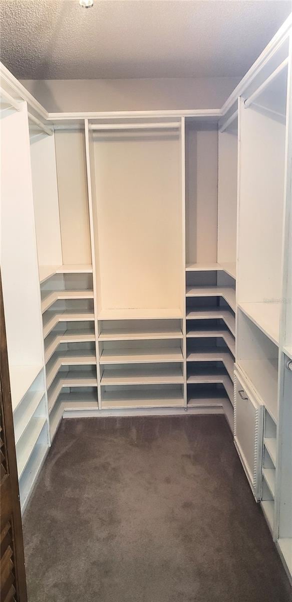 walk in closet with dark carpet