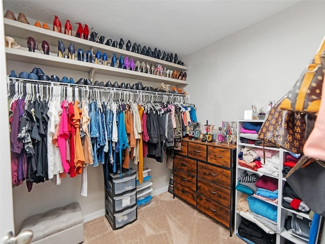 spacious closet with carpet