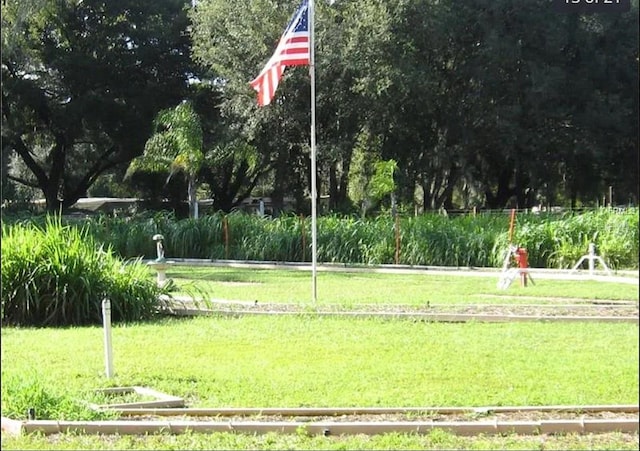 surrounding community featuring a yard