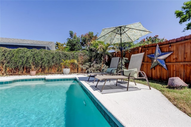 view of swimming pool featuring a fenced in pool, a fenced backyard, and a patio area