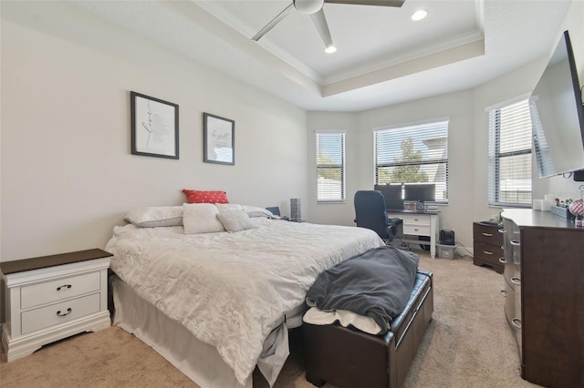 bedroom featuring multiple windows, light colored carpet, and a tray ceiling