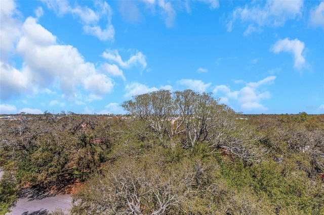 view of local wilderness