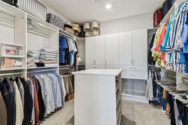 spacious closet with light colored carpet