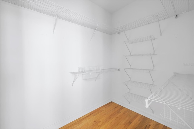 walk in closet featuring light wood-style flooring