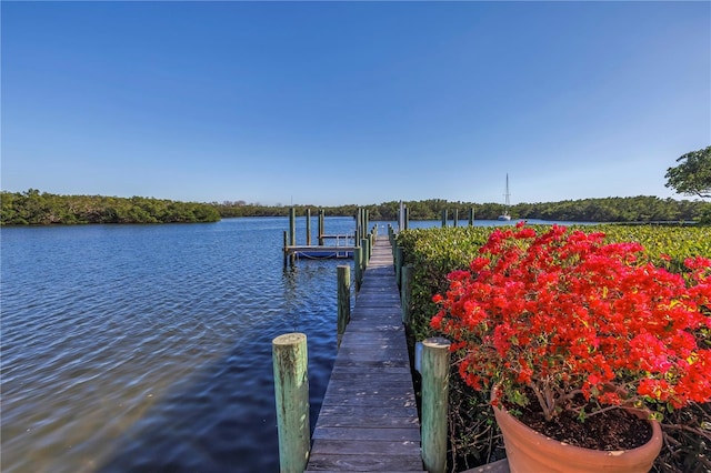 dock area featuring a water view and boat lift