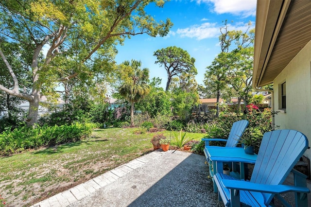 view of yard featuring a patio