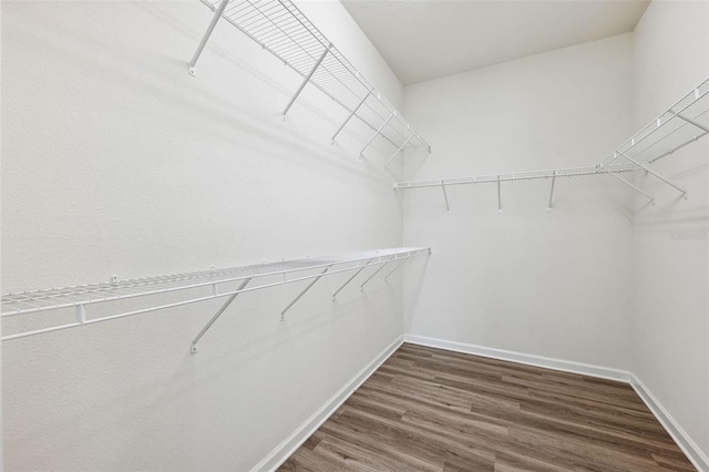 walk in closet featuring dark wood finished floors