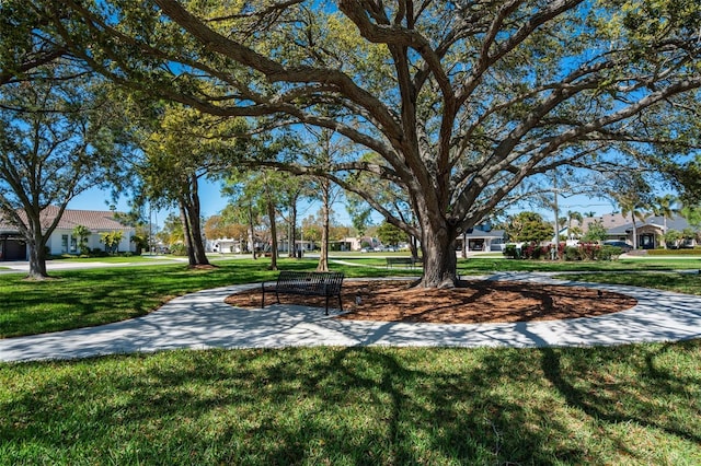 view of community featuring a yard