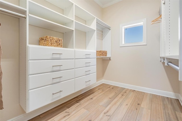 spacious closet with light wood-type flooring