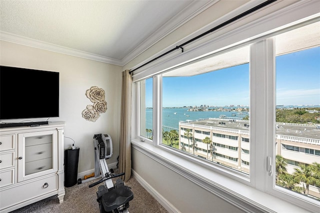 interior space with crown molding, baseboards, and a water view