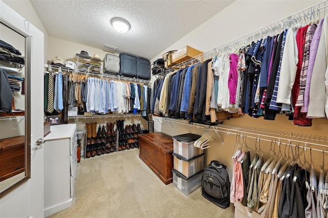 walk in closet with carpet floors