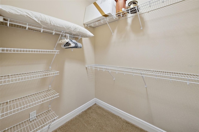 spacious closet with carpet floors