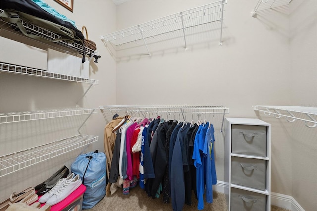 walk in closet featuring carpet flooring