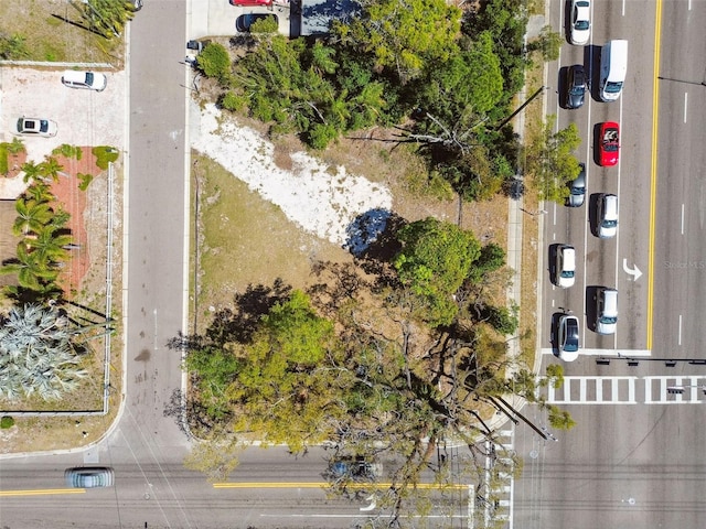 1107 Brownell St, Clearwater, FL 33756 - photo 5