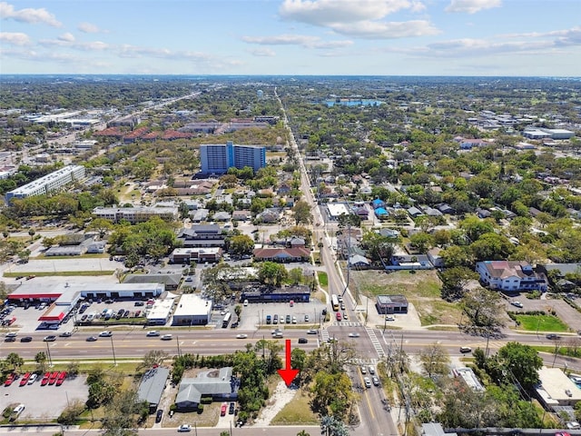 1107 Brownell St, Clearwater, FL 33756 - photo 11