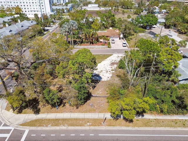 1107 Brownell St, Clearwater, FL 33756 - photo 17