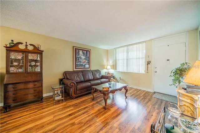 living room featuring baseboards and wood finished floors