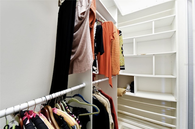 view of walk in closet