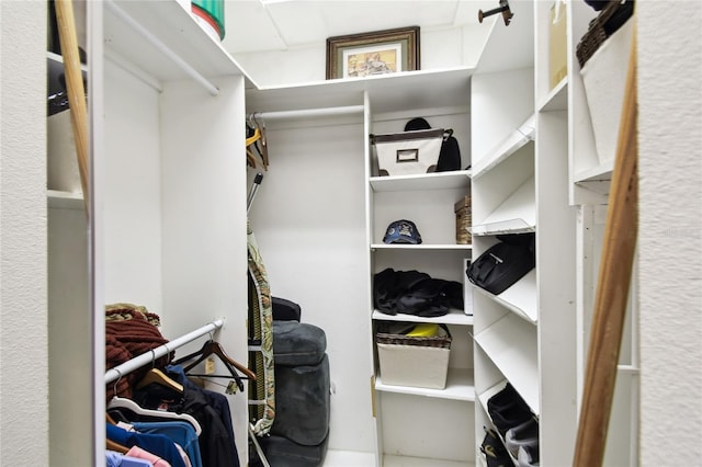 view of walk in closet