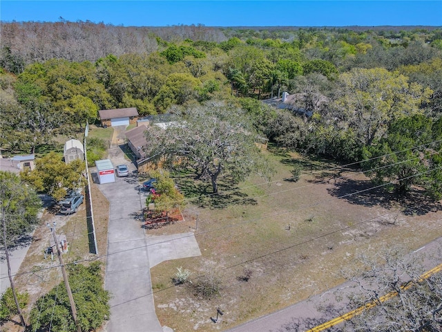 10100 Grove Dr, Port Richey, FL 34668 - photo 49