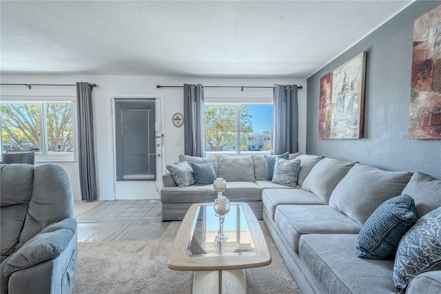 8325 112th St Unit 202, Seminole, FL 33772 - carpeted living room featuring plenty of natural light, a textured ceiling, and a textured wall